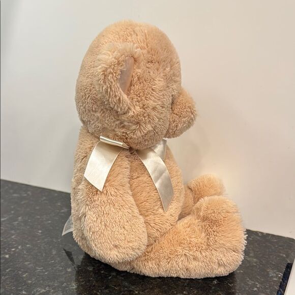 Baby Gund My First Teddy Tan Plush ~ Sewn Eyes & Nose Tan Teddy Bear Plush Toy - Picture 6 of 10